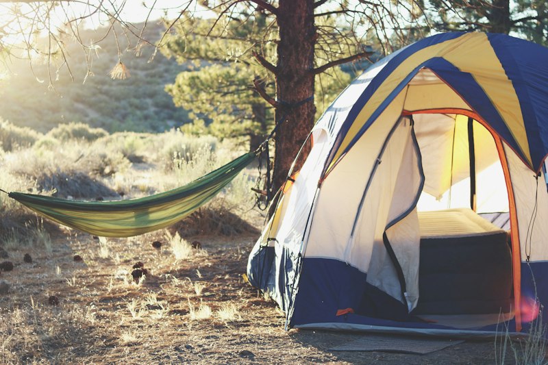 Camp tent in meadow