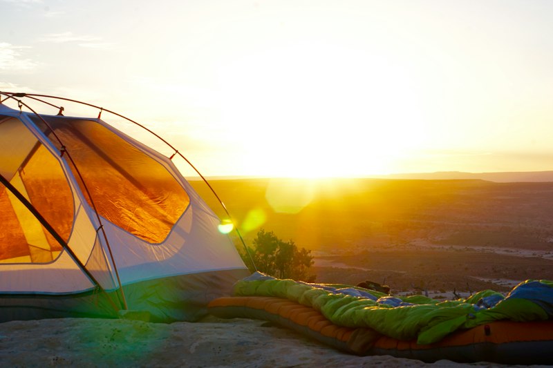 Tent in pine forest